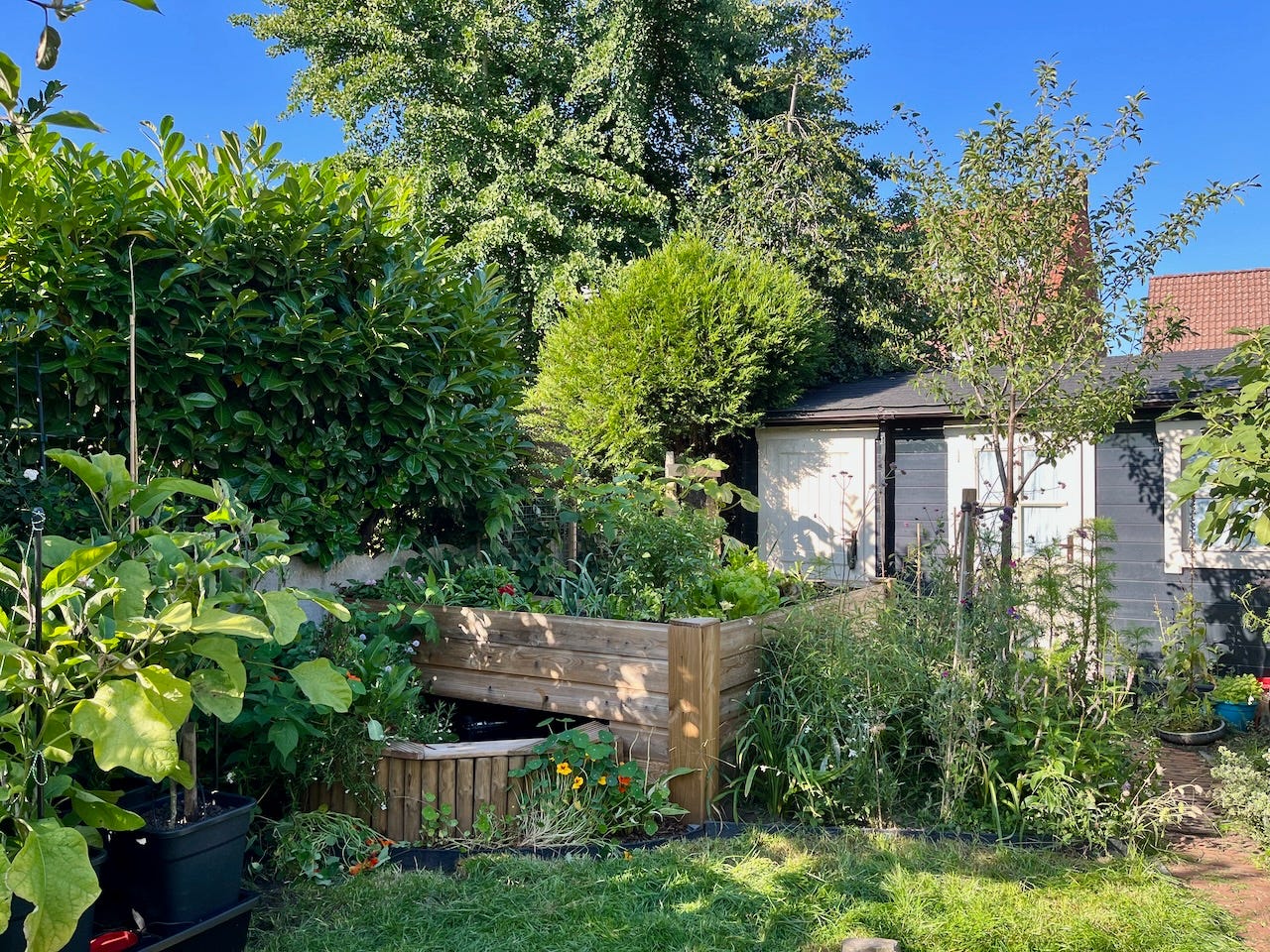 Aquaponics system in an urban garden.